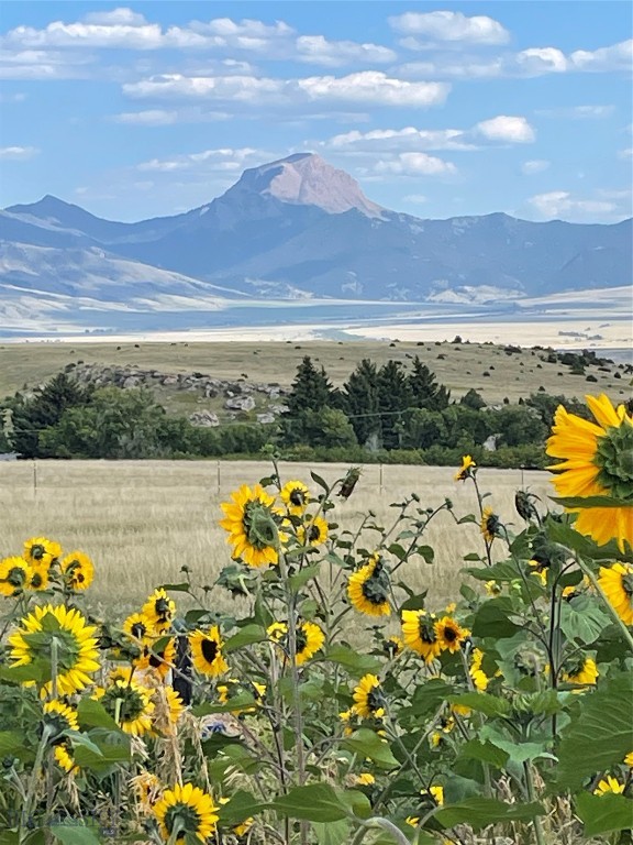 333 Shining Mountains Loop