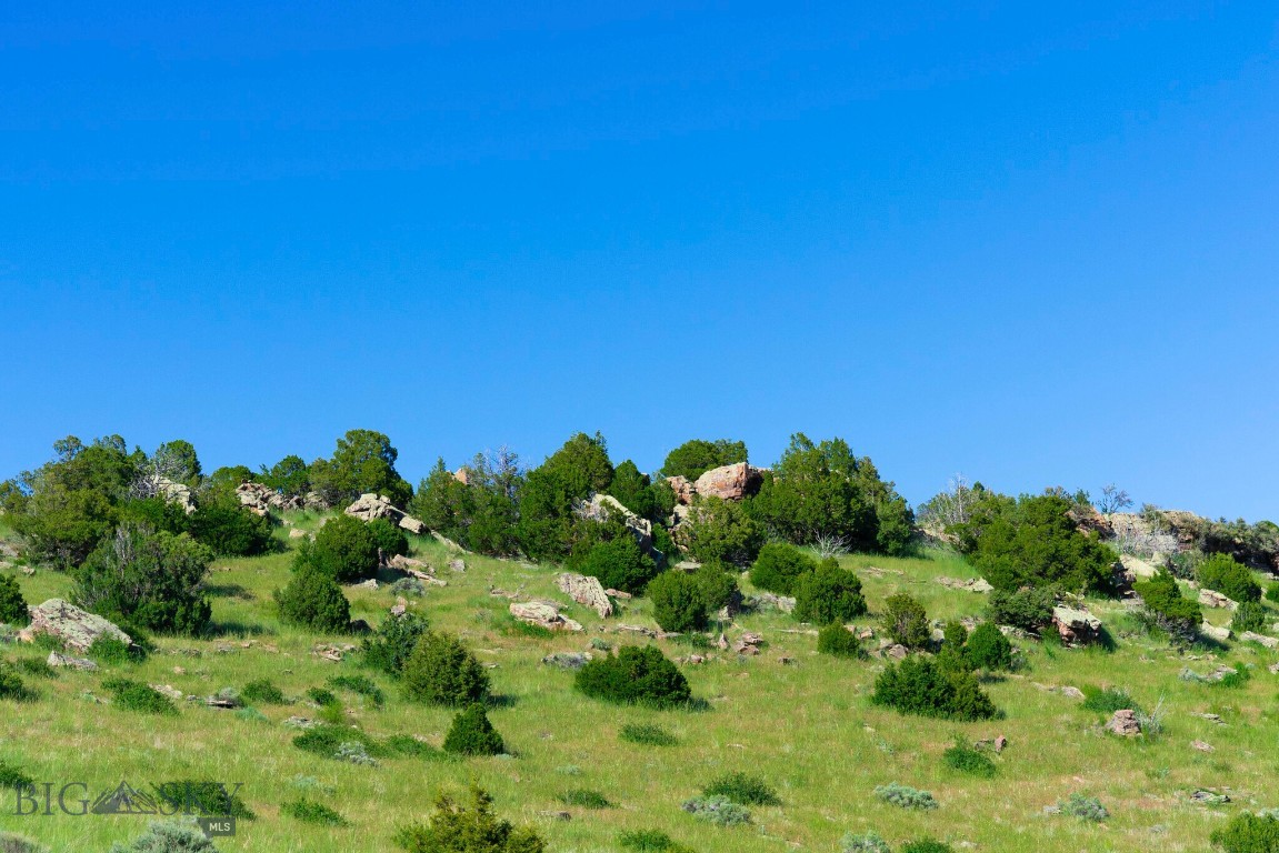 Gallatin River Ranch - Land