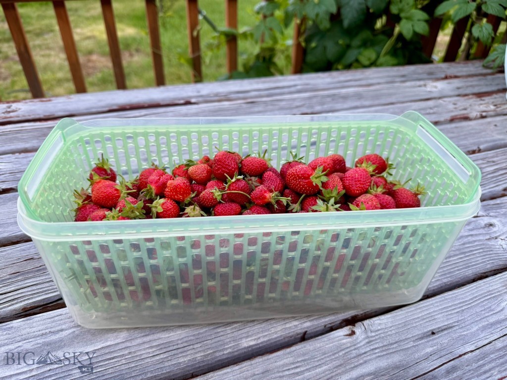 Laurel Glen - Residential