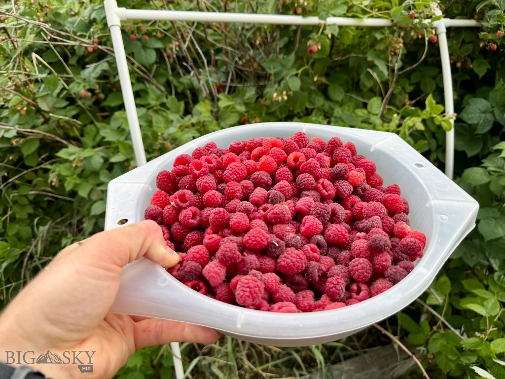 Laurel Glen - Residential