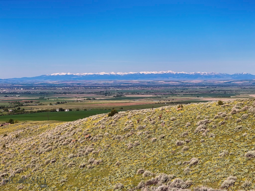 Four Bar Ranches Corbly Gulch