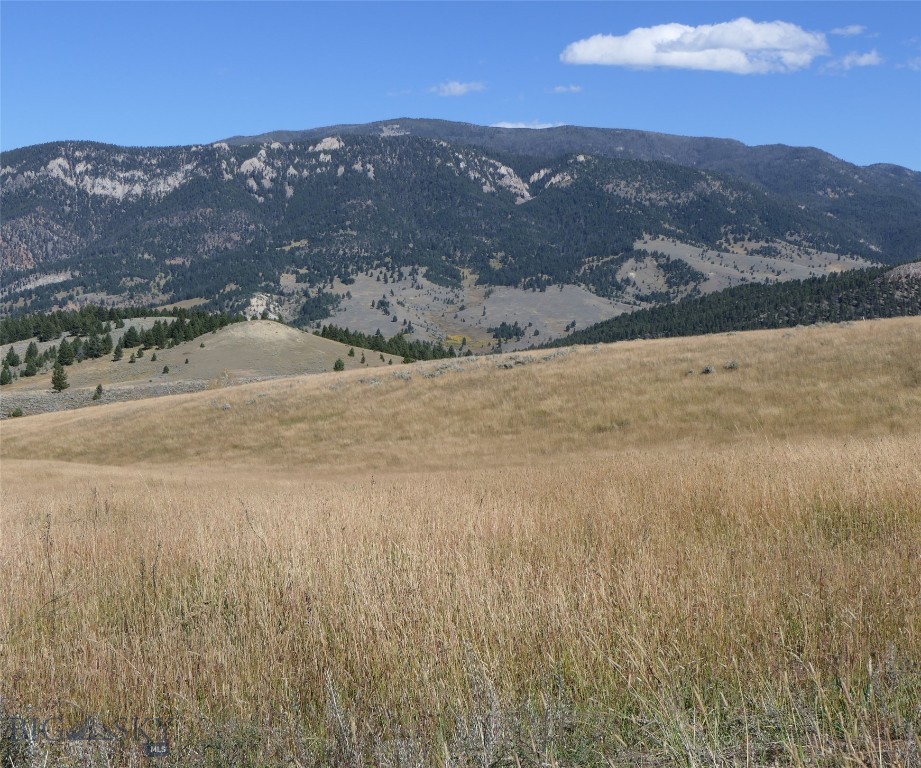 Big Sky, Montana 59716, United States, ,Land,Active,68748