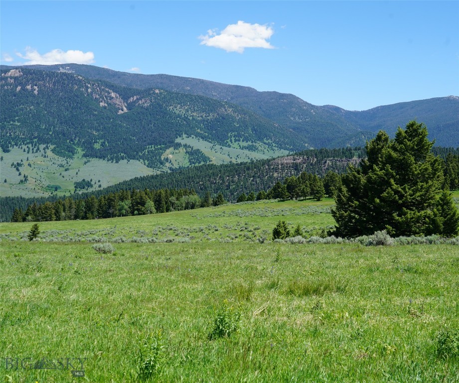 Big Sky, Montana 59716, United States, ,Land,Active,68748