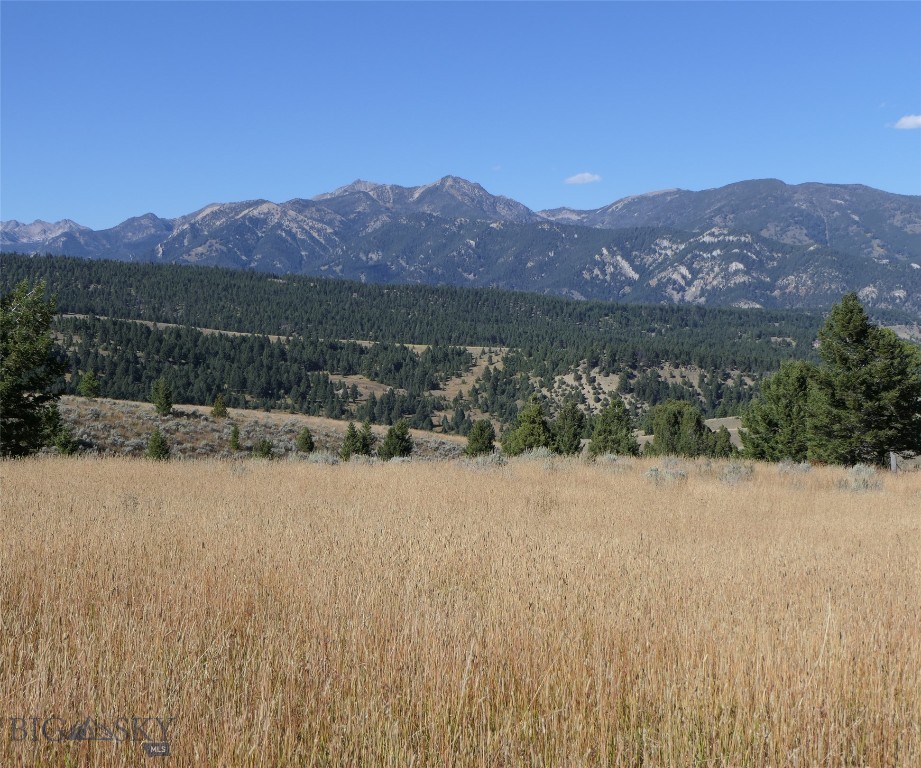 Big Sky, Montana 59716, United States, ,Land,Active,68748