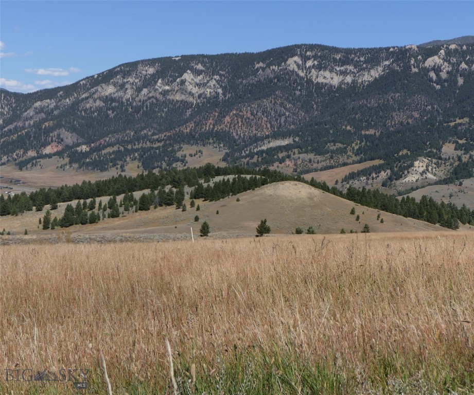 Big Sky, Montana 59716, United States, ,Land,Active,68748