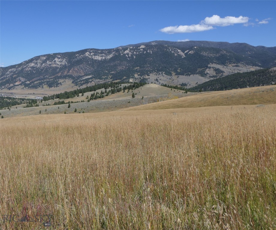 Big Sky, Montana 59716, United States, ,Land,Active,68748