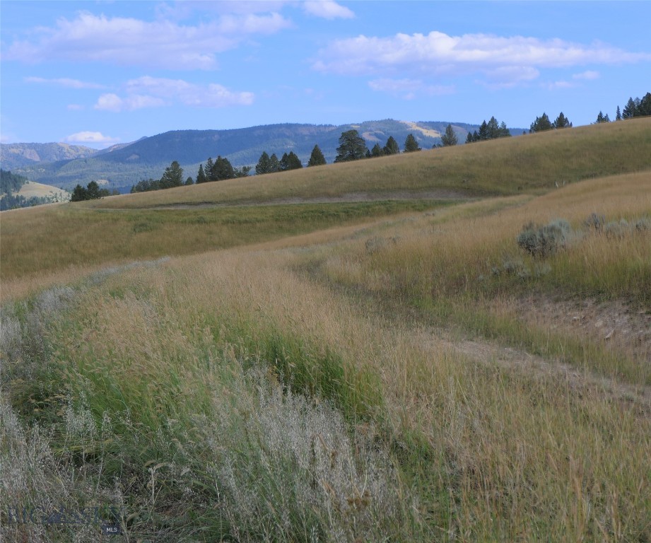Big Sky, Montana 59716, United States, ,Land,Active,68748