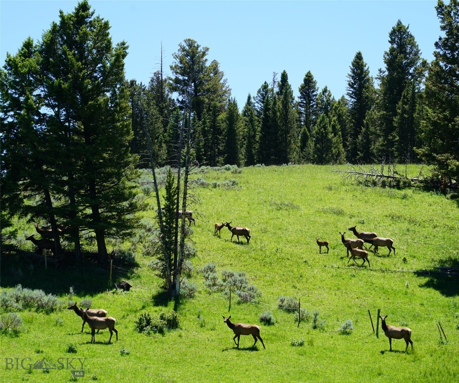 Big Sky, Montana 59716, United States, ,Land,Active,68748