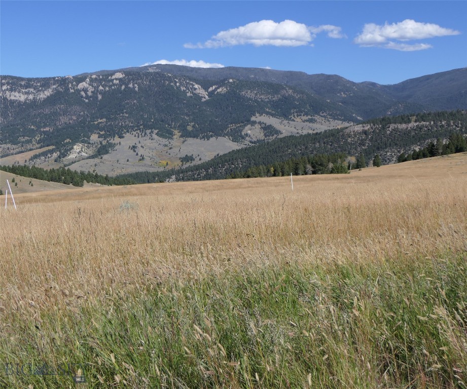 Big Sky, Montana 59716, United States, ,Land,Active,68748