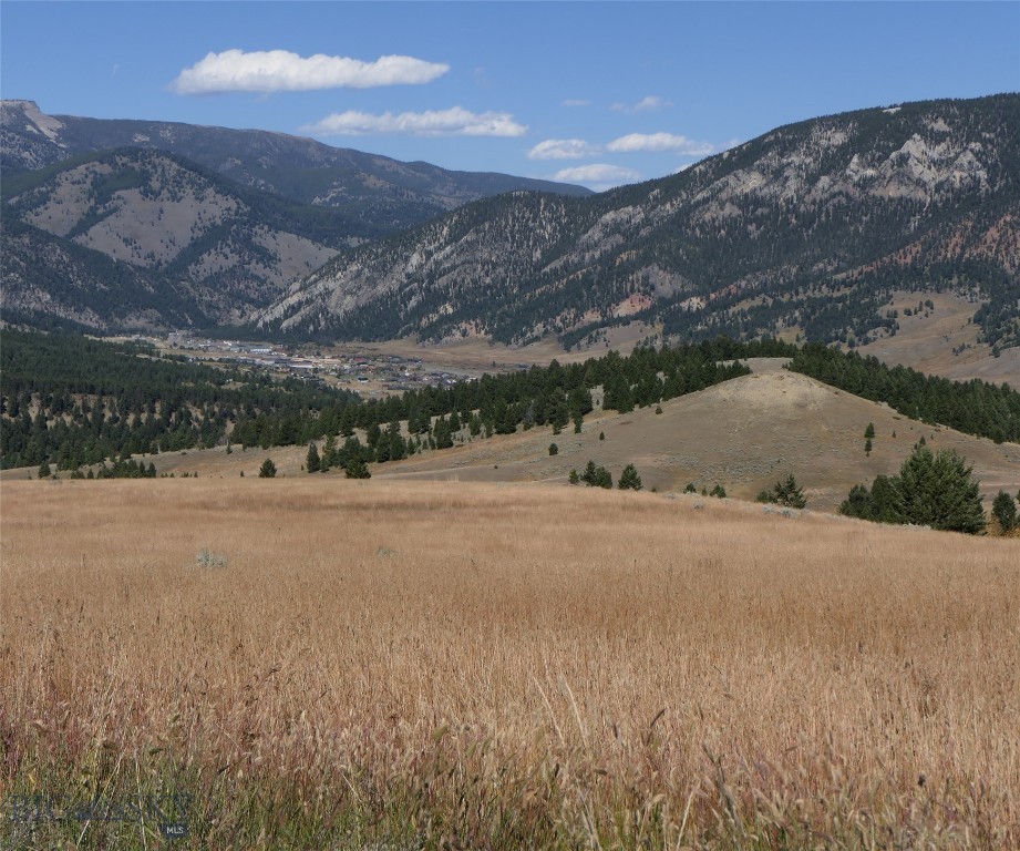 Big Sky, Montana 59716, United States, ,Land,Active,68748