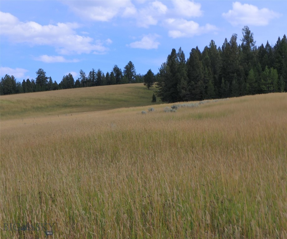 Big Sky, Montana 59716, United States, ,Land,Active,68748