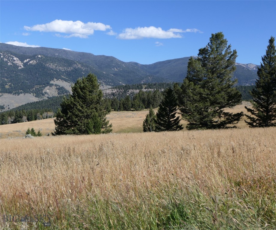 Big Sky, Montana 59716, United States, ,Land,Active,68748