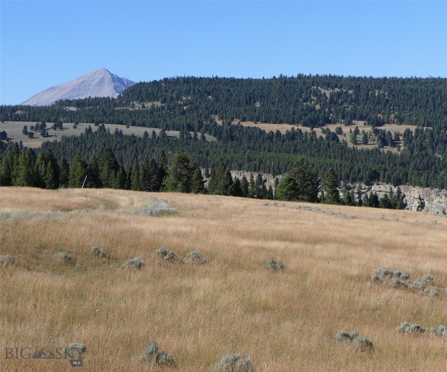 Big Sky, Montana 59716, United States, ,Land,Active,68748