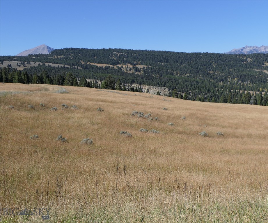 Big Sky, Montana 59716, United States, ,Land,Active,68748