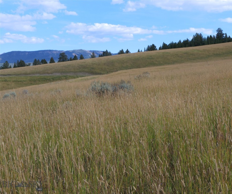 Big Sky, Montana 59716, United States, ,Land,Active,68748