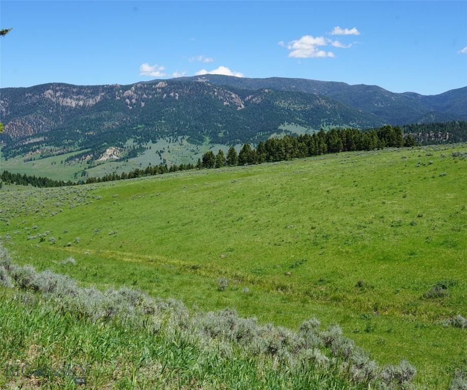 Big Sky, Montana 59716, United States, ,Land,Active,68748