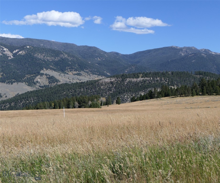 Big Sky, Montana 59716, United States, ,Land,Active,68748