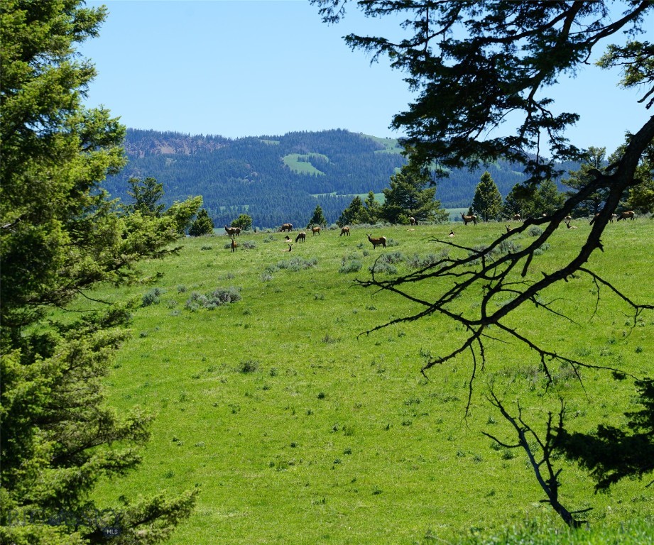 Big Sky, Montana 59716, United States, ,Land,Active,68748