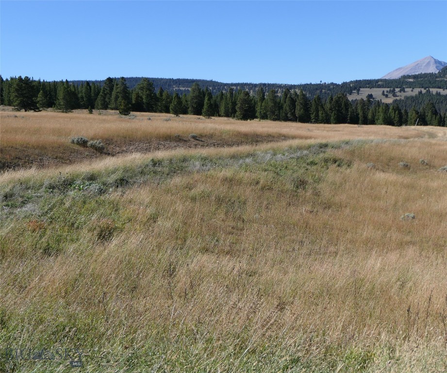 Big Sky, Montana 59716, United States, ,Land,Active,68748