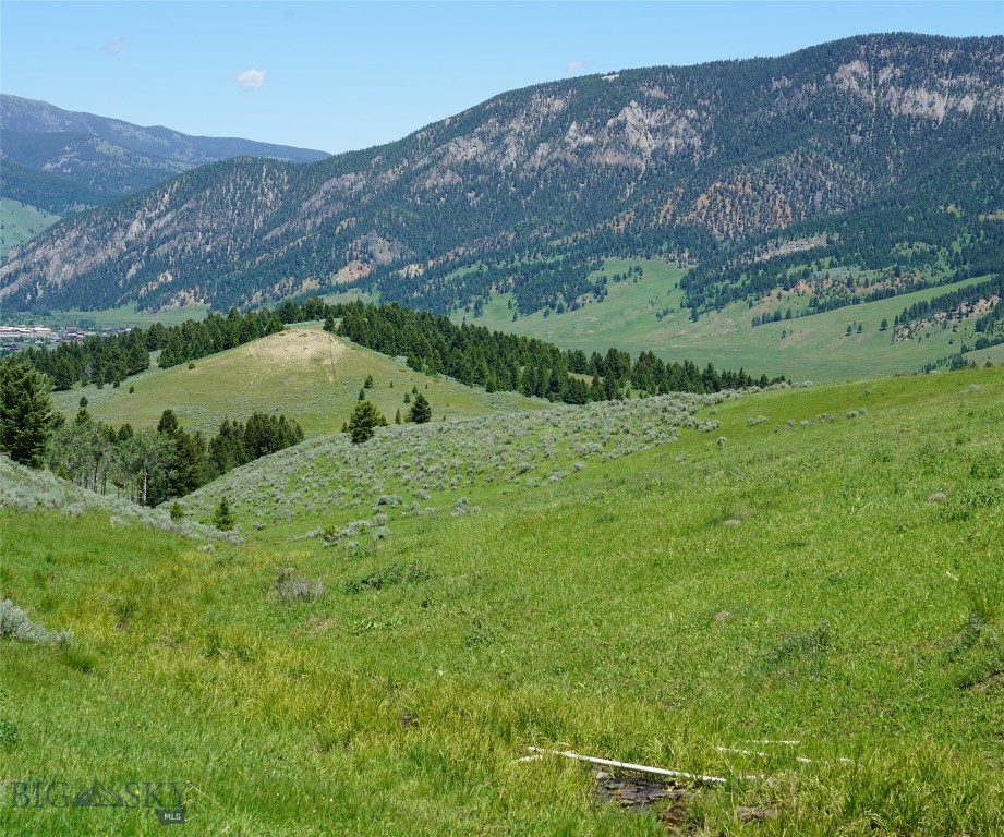 Big Sky, Montana 59716, United States, ,Land,Active,68748