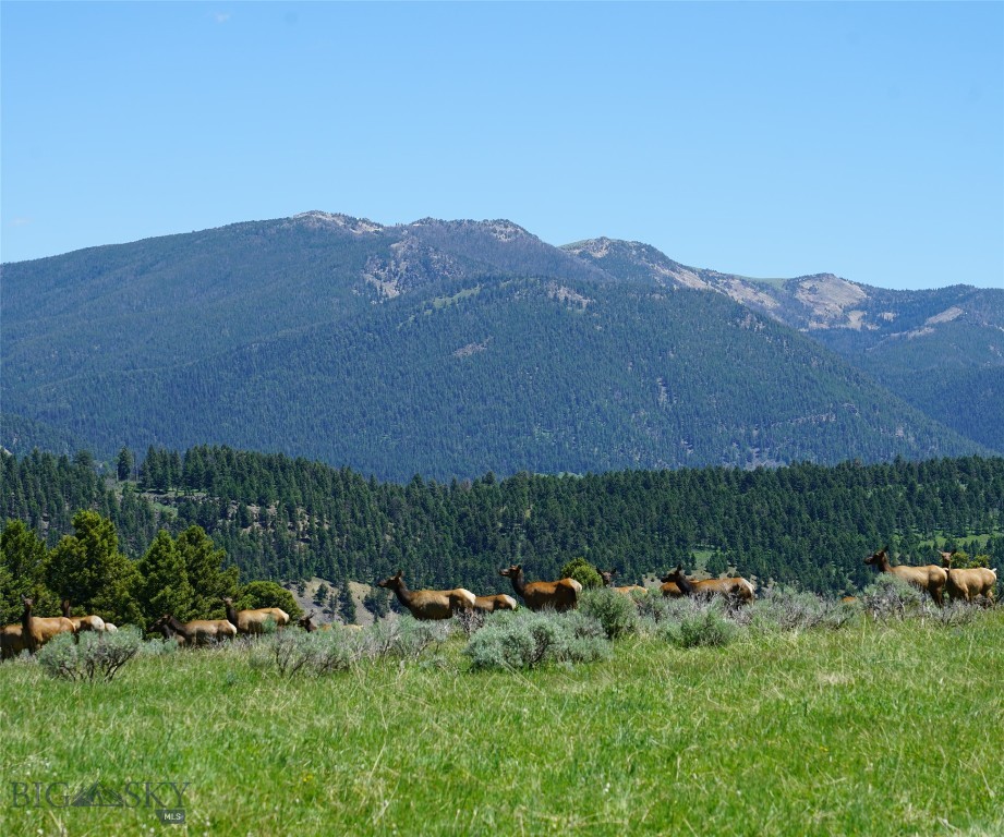Big Sky, Montana 59716, United States, ,Land,Active,68748