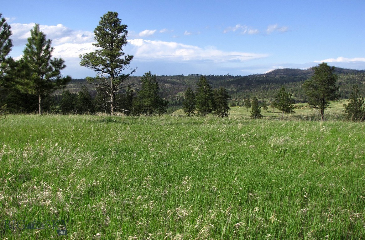 Other - Land