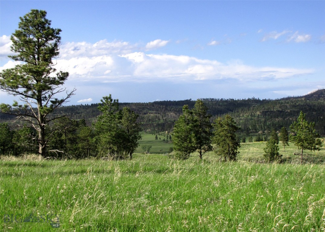 Other - Land
