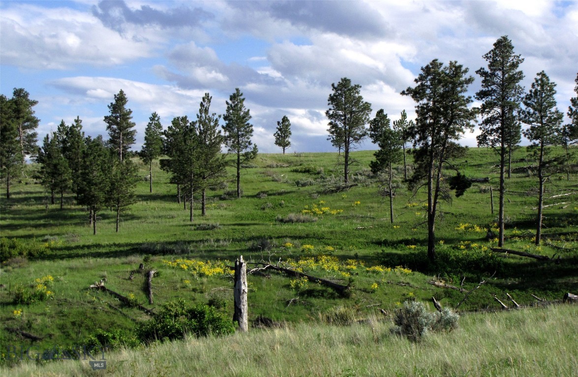 Other - Land
