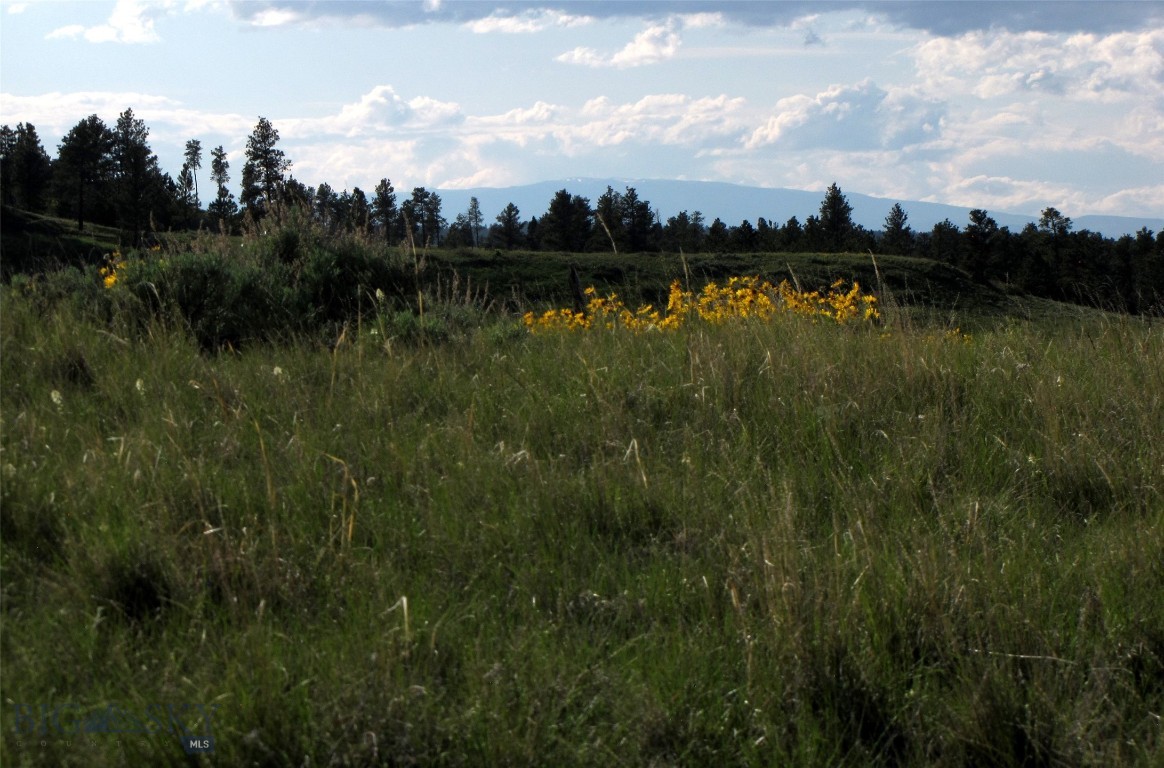 Other - Land