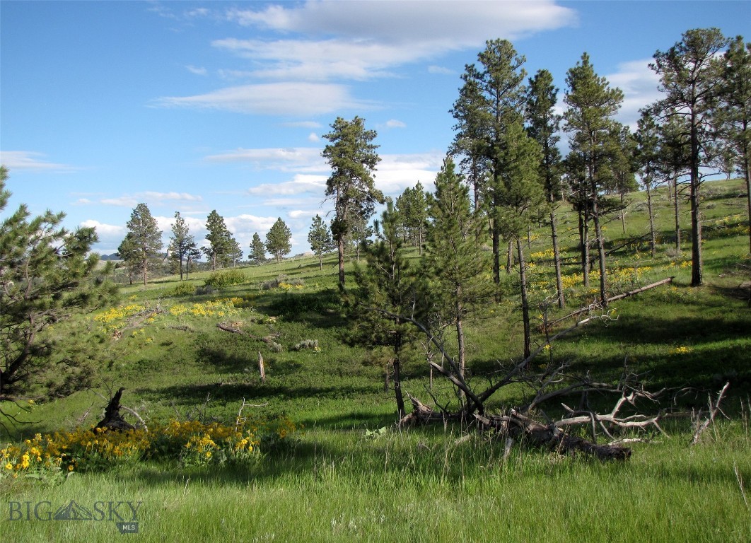 Other - Land