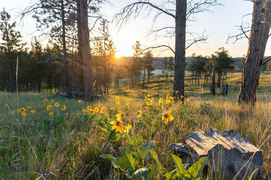 If you are looking to escape to the peace and quite of country life, this may be for you! 37 Acres in the Bull Mountains just 30 miles north of Billings.  With some tall Ponderosa Pines for seclusion, this acreage would make a great escape where you can create your own quite, private and secluded retreat, cabin or home. It is a picturesque setting where you can watch sunrises and sunsets, enjoy the quiet of rural life and listen to the wind glide through the Ponderosa Pines. It offers expansive views of the surrounding pine hills of the Bull Mountains, as well as distant glimpses of the Little and Big Snowy Mountains to the northwest. It has 10 to 15 acres of tall Ponderosa Pines, as well as grassy pastures and some rock outcroppings.  It is fenced on three sides. Year-round access is possible with a 4X4, but may require one to do some snow plowing as well as some road maintenance to deal with mud in the spring. Several neighbors do live here year-round. It is just 14 miles south of Roundup and about a 30 miles north of Billings. Wild turkeys, mule deer, whitetails, bear and elk live in this area, which makes for excellent hunting or just wildlife viewing. Several 100 acres of public land (BLM & State land) are just a half mile to the north.  Power is 1/4 mile away. Fiber Optic and phone lines are to the property. No known covenants.  Call today to set up a showing.
