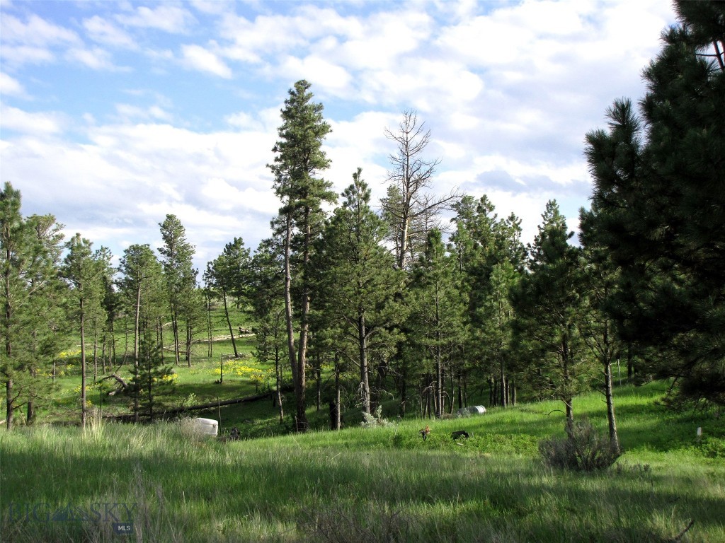 Other - Land