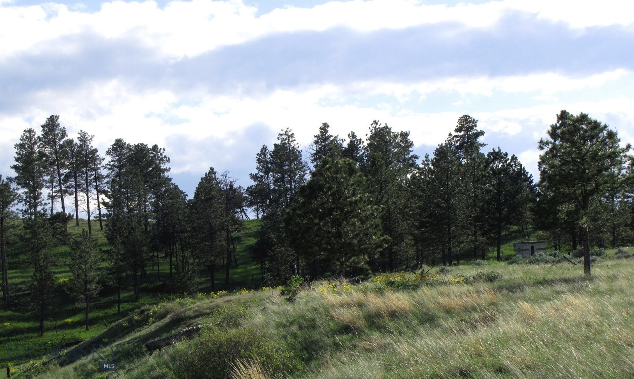 Other - Land
