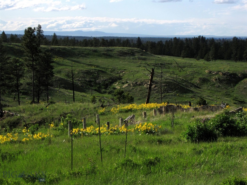 Other - Land