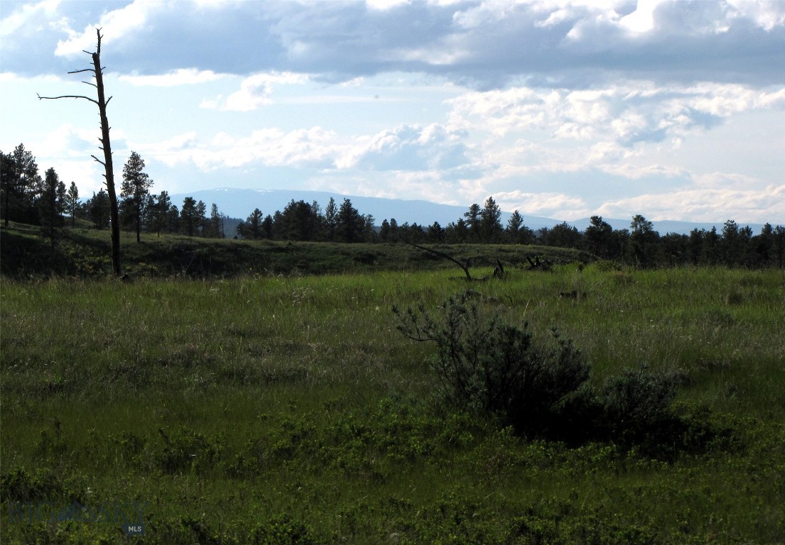 Other - Land