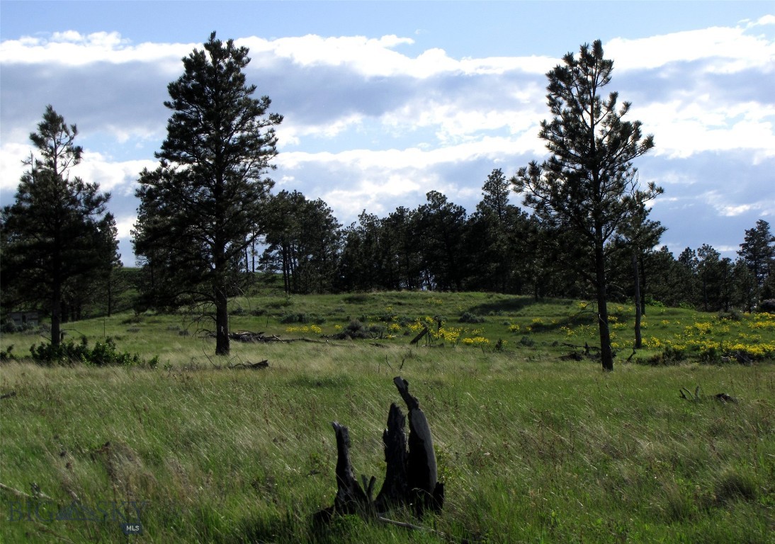 Other - Land