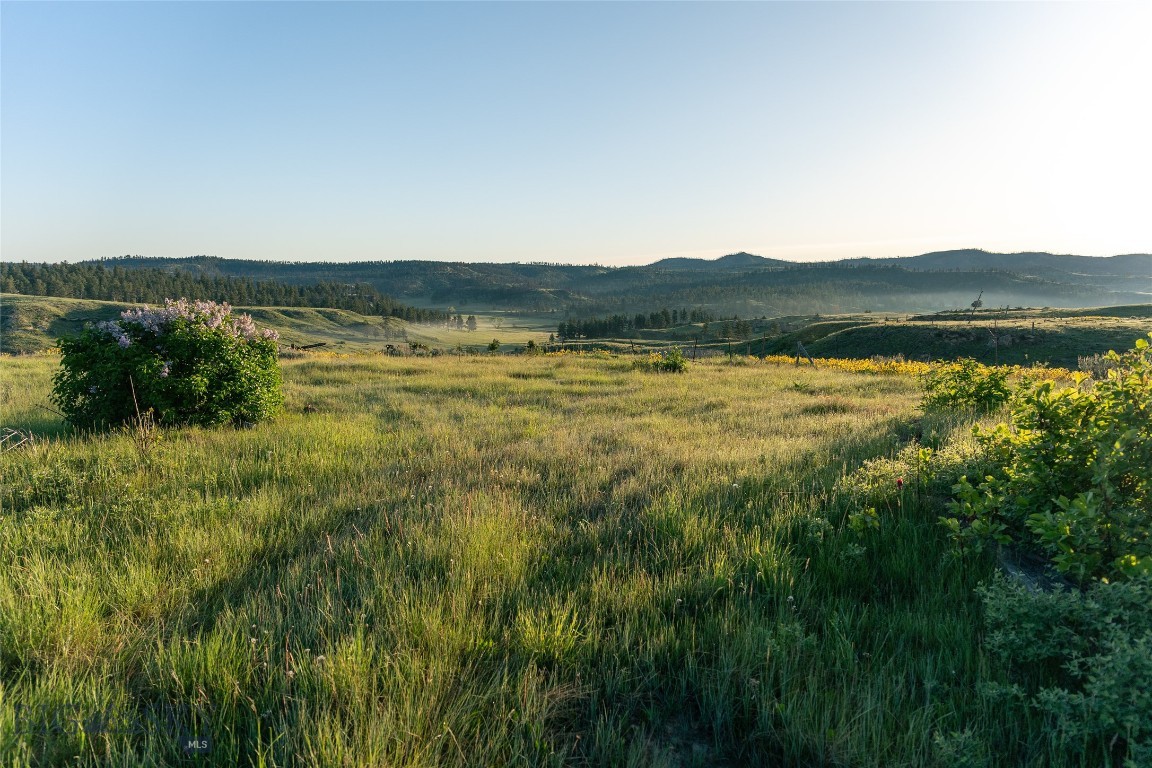 Other - Land