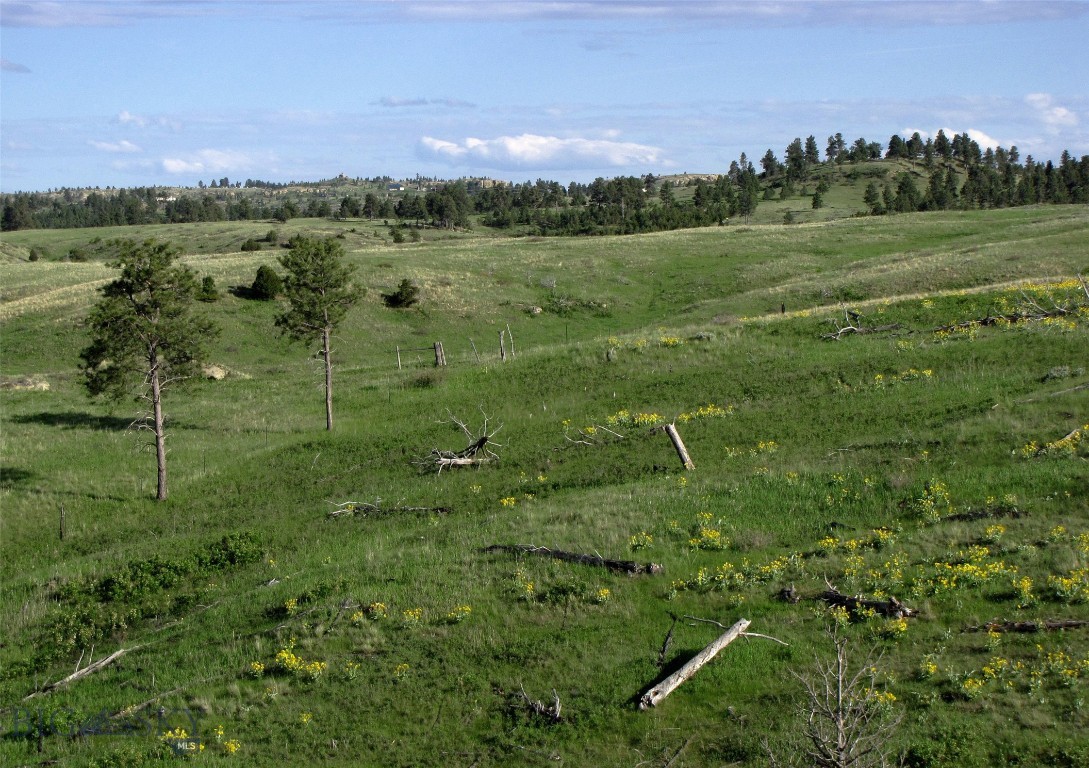 Other - Land