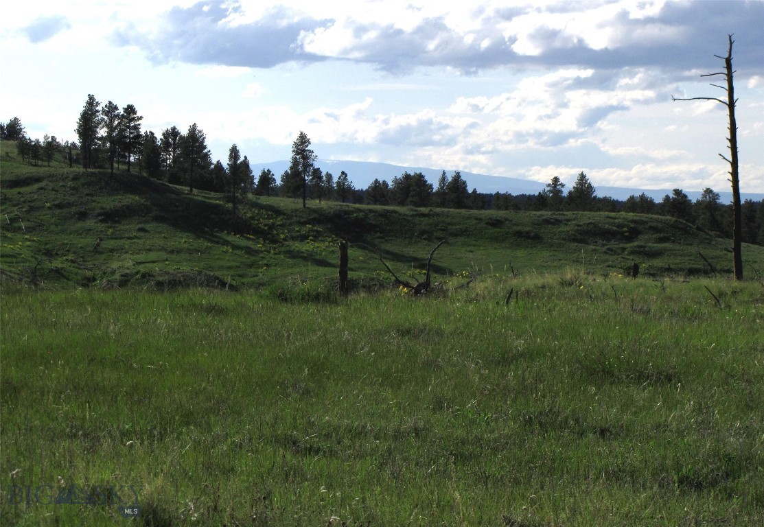 Other - Land