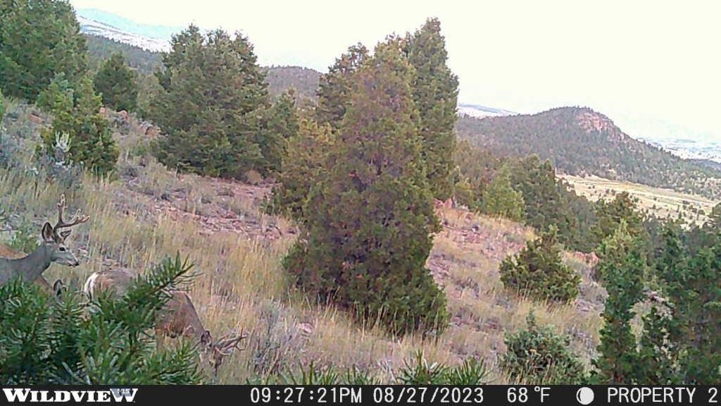 Flint Creek Cluster - Land