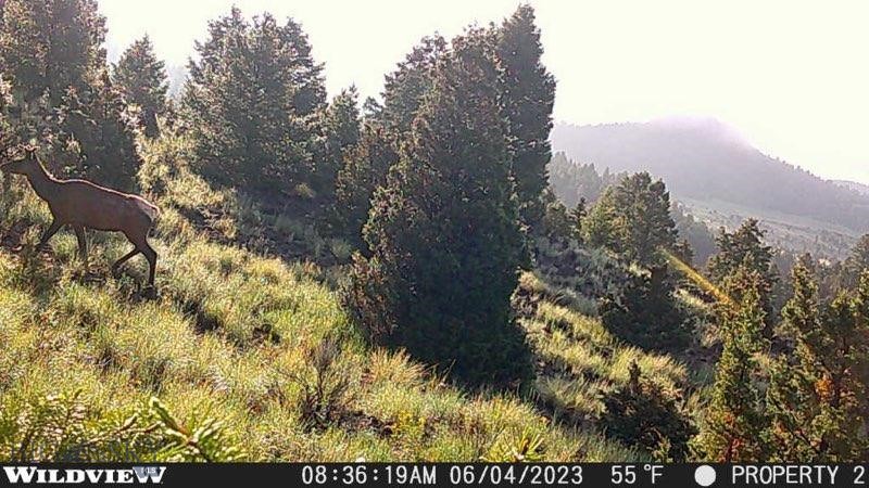 Flint Creek Cluster - Land