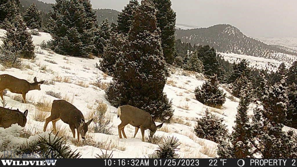 Here is your chance to own a stunning 22 acre parcel in Flint Creek Ranch!! There is power to the property, a well drilled and two potential home sites have been developed already. Wildlife frequents the area and the views are breathtaking!!! Don't miss this one!!