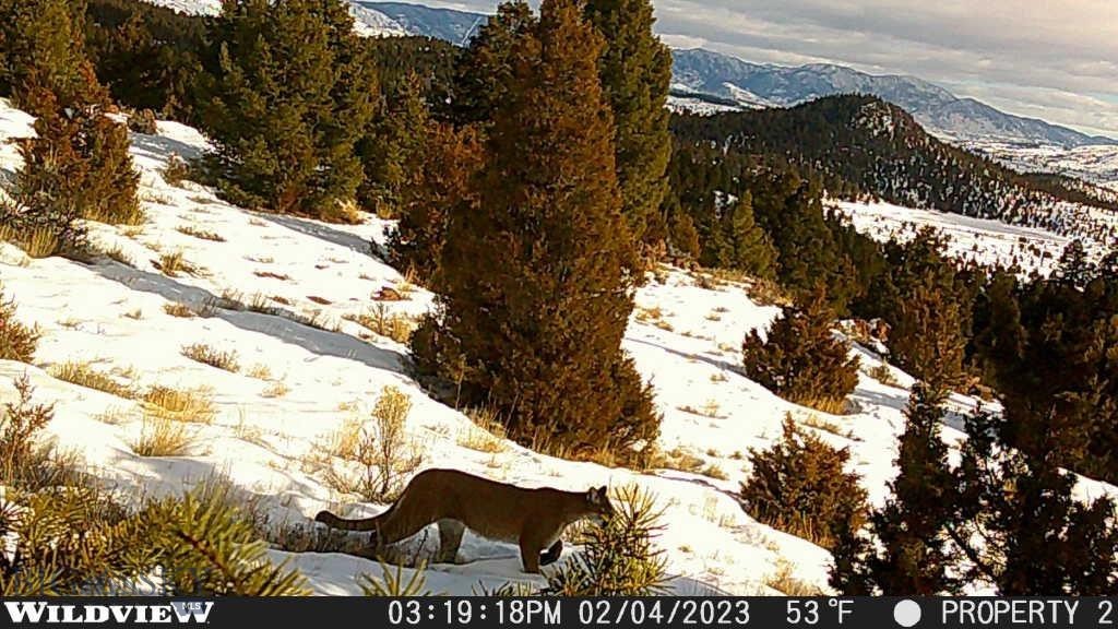 Flint Creek Cluster - Land