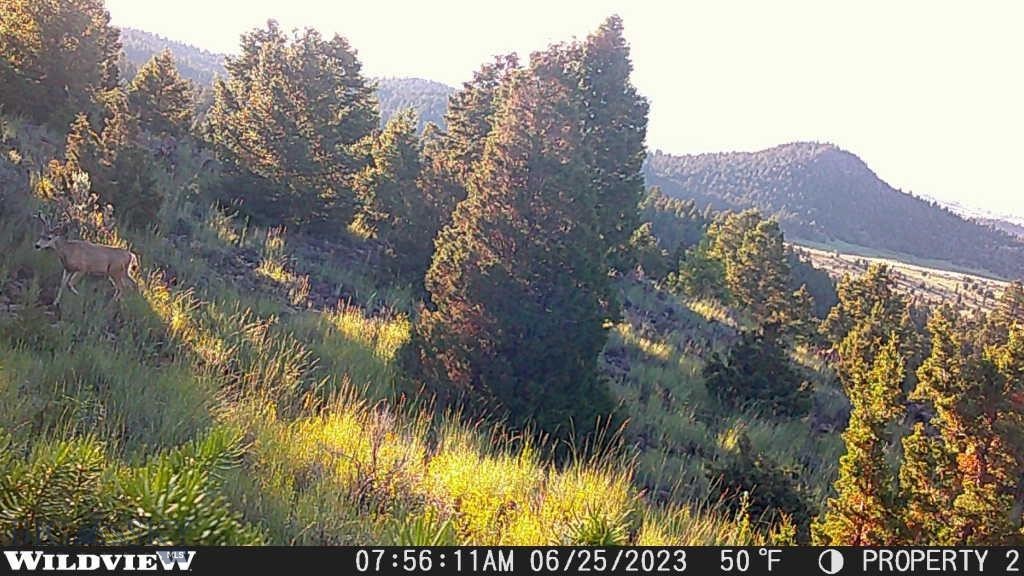 Flint Creek Cluster - Land