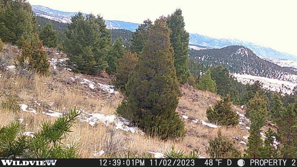 Flint Creek Cluster - Land