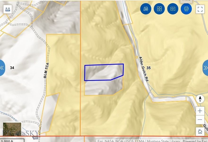 Wilson Lode Survey #10360 spans 19.43 acres of Montana’s storied mining belt. A parcel with potential—rich history, forested privacy, and rugged terrain make it perfect for heritage-minded buyers or outdoor recreators. Off-grid yet near Virginia City’s charm, this site is ready to be your portal to Montana’s golden frontier. THIS PROPERTY IS FRACTIONAL OWNERSHIP. Here is your chance to own an UNDIVIDED 7.5% INTEREST, in 19.43 acres. Shared with approximately 10 additional owners, this property sits surrounded by BLM on 3 sides, with another FRACTIONAL OWNERSHIP opportunity in the private land below it. See MLS #395057. Come play in the dirt, pan for gold, silver, garnets, and base metal minerals, and STAKE YOUR CLAIM!!! All information is deemed reliable but not guaranteed. Buyer's and buyers' agent to perform due diligence to buyers' satisfaction.