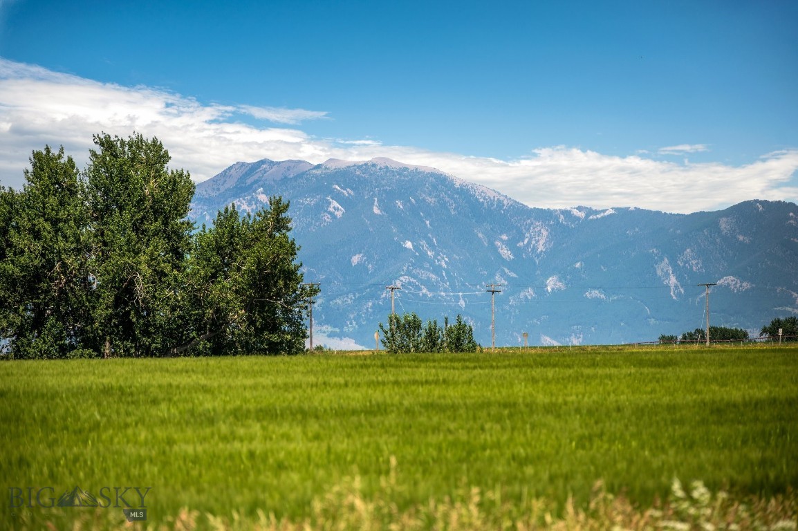 Minor Subdivision - Land