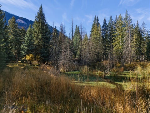 Photo of 48121 Gallatin Rd, Big Sky, MT 59730 (MLS # 415523)