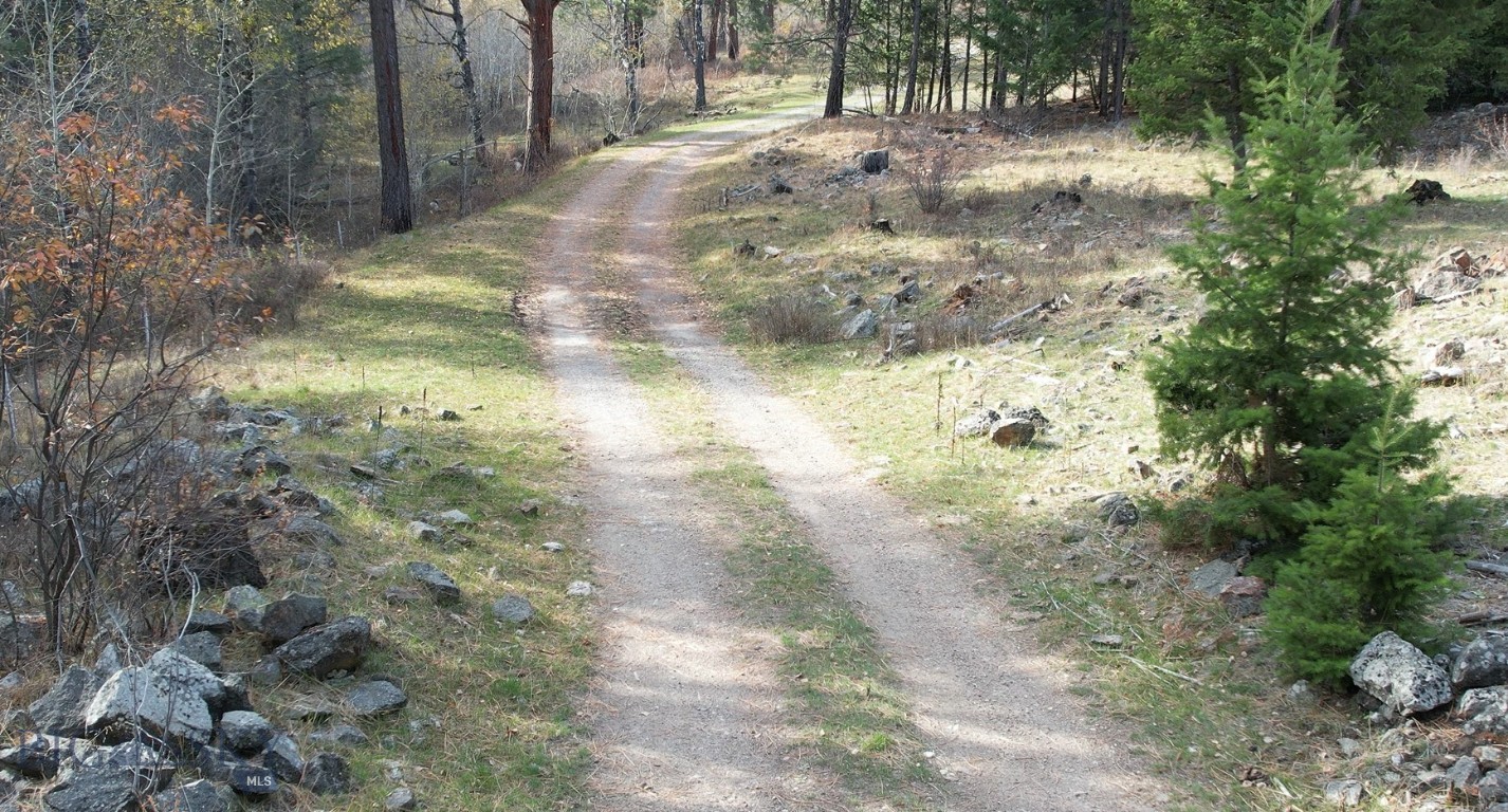 1 Tract, Bull Elk