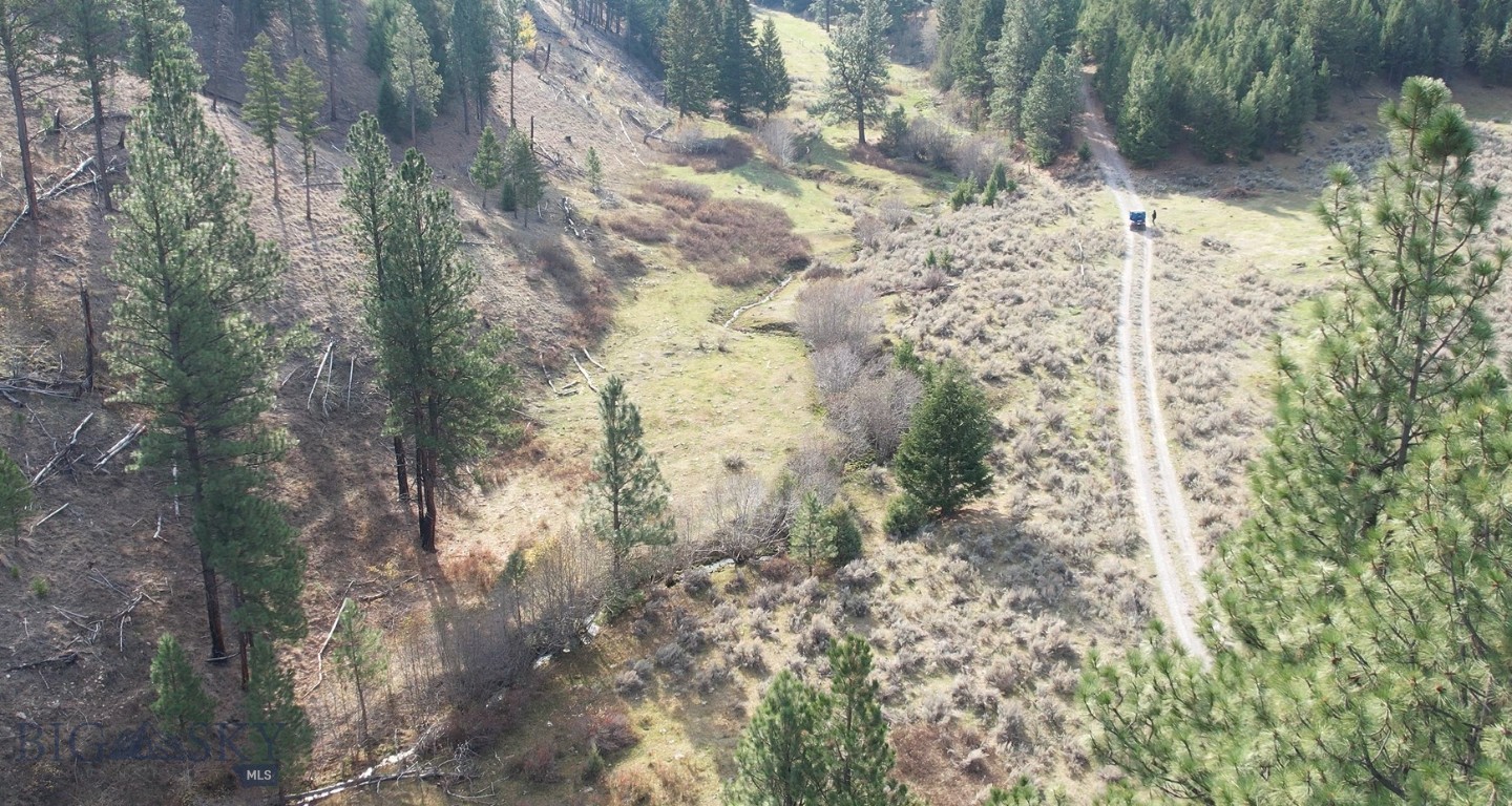 1 Tract, Bull Elk